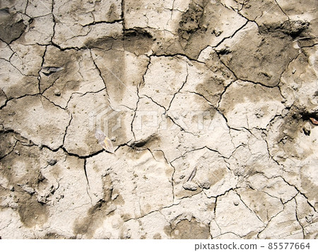 Soil Soil 85577664