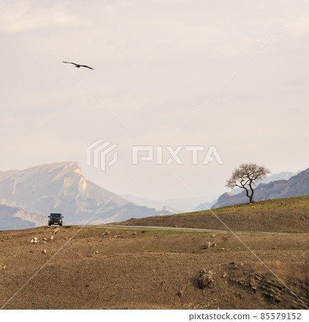 The road through the mountain desert. Minimalistic square look, travel concept. Morning mountain valley with a serpentine road. Car on a mountain serpentine. The road through the mountain desert. Minimalistic square look, travel concept. Morning mountain valley with a serpentine road. Car on a mountain serpentine. 85579152