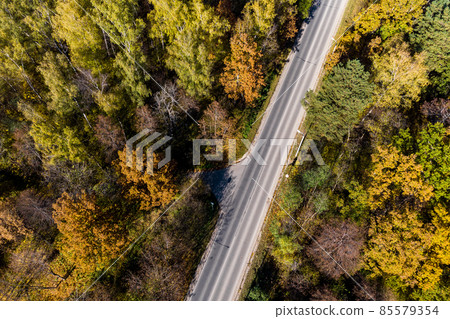 Aerial view of the road going through the autumn forest Aerial view of the road going through the autumn forest 85579354
