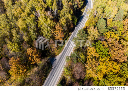 Aerial view of the road going through the autumn forest 85579355
