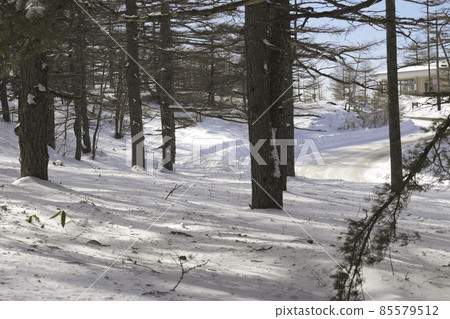 Snowy road in the mountains in the middle of winter Snowy road in the mountains in the middle of winter 85579512