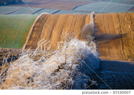 cultivated agricultural fields in autumn sunset. Colorful countryside patchwork cultivated agricultural fields in autumn sunset. Colorful countryside patchwork 85580007