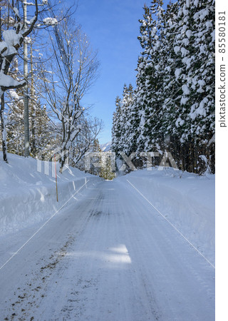 Mountain road in snowy country [Otari-mura, Kitaazumi-gun] 85580181