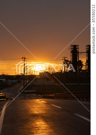 晨光下筆直的道路 85580212