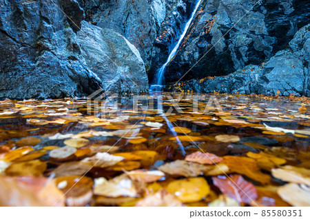 Small waterfall on a creek, autumn landscape in a national park Small waterfall on a creek, autumn landscape in a national park 85580351