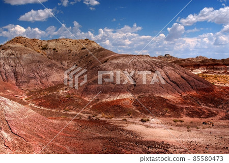 Petrified Forest Petrified Forest 85580473