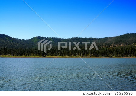 Forest Lake 85580586