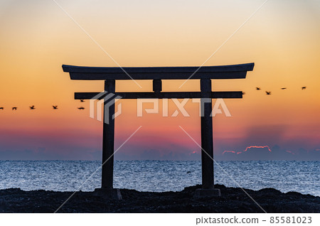 大洗上磯的鳥居 清晨的野鳥 大洗上磯的鳥居 清晨的野鳥 85581023