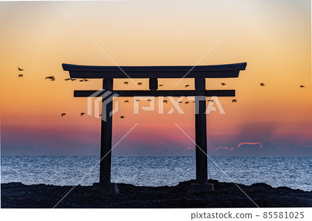 大洗上磯的鳥居 清晨的野鳥 85581025