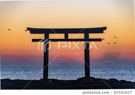 大洗上磯的鳥居 清晨的野鳥 85581027