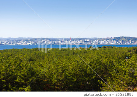 從櫻島眺望鹿兒島市 從櫻島眺望鹿兒島市 85581993