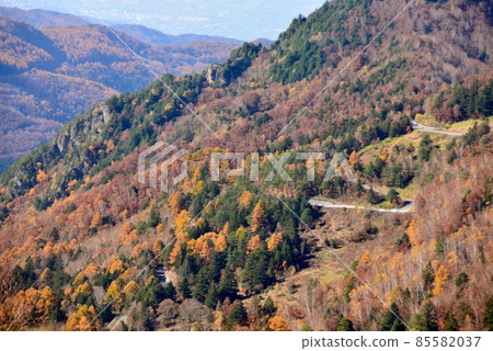 縣道66號奧山田深秋風景 85582037