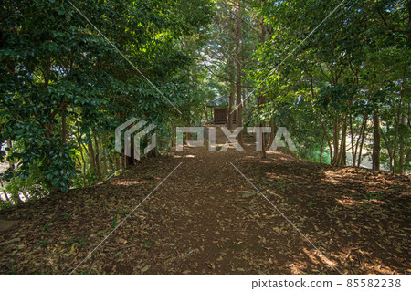 Eimei-ji Temple Eimei-ji Temple Tomb toward Yakushido Hanyu City Eimei-ji Temple Eimei-ji Temple Tomb toward Yakushido Hanyu City 85582238