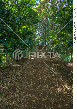 Eimei-ji Temple Eimei-ji Temple Tomb toward Yakushido Hanyu City 85582239
