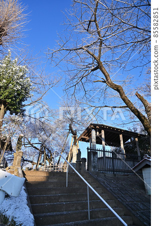 Ishitokaba Zakura in winter, Kitamoto City, Saitama Prefecture, Japan's Five Great Cherry Blossoms, Tokoji Temple Ishitokaba Zakura in winter, Kitamoto City, Saitama Prefecture, Japan's Five Great Cherry Blossoms, Tokoji Temple 85582851