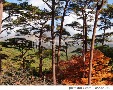 View of Shinmoedake from the Shinmoedake observatory at the foot of Mt. Shinmoedake View of Shinmoedake from the Shinmoedake observatory at the foot of Mt. Shinmoedake 85583040