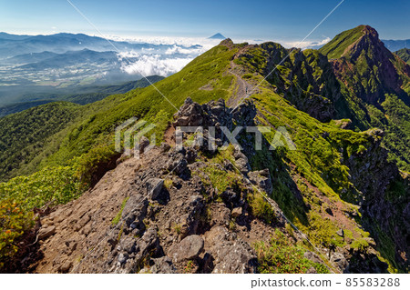 從八嶽山脈/橫岳看到的赤岳和富士山/奧秩父山脈 85583288