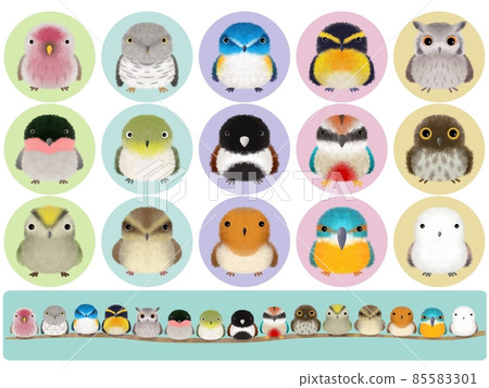 Fluffy Bird Series A with background Fluffy Bird Series A with background 85583301