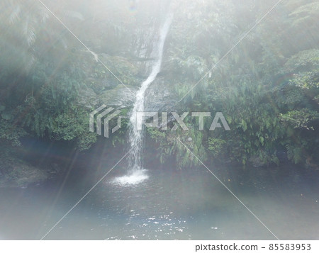 Okuma River Kunigami Village Okinawa Prefecture Trekking River Play Okinawa Tourism Sightseeing Okinawa River Nature Okuma River Kunigami Village Okinawa Prefecture Trekking River Play Okinawa Tourism Sightseeing Okinawa River Nature 85583953