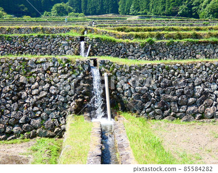 Rice terraces 85584282