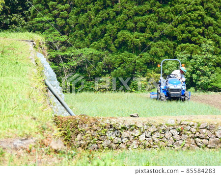 Rice terraces 85584283