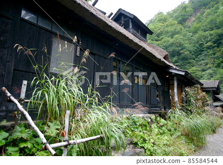 Tsuru no Yu Honjin Tsuru no Yu Honjin 85584544