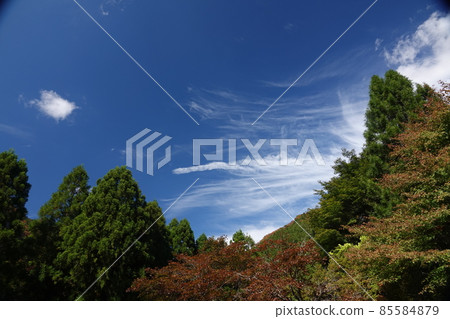 Blue sky and muscle clouds in Takanose Gorge in autumn 85584879
