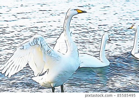 柔和的“天鵝”野鳥“”插圖圖像 柔和的“天鵝”野鳥“”插圖圖像 85585495
