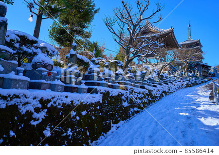 Five-storied pagoda and Kannon of Korinji Temple in Asao Ward, Kawasaki City, Kanagawa Prefecture after snowfall Five-storied pagoda and Kannon of Korinji Temple in Asao Ward, Kawasaki City, Kanagawa Prefecture after snowfall 85586414