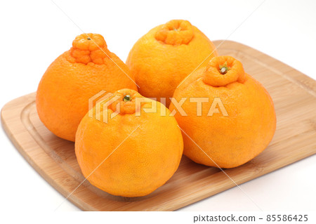 凸頂柑 凸頂柑 85586425