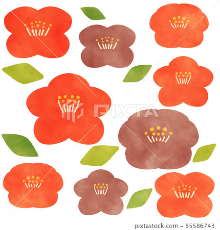 Camellia illustration material Camellia illustration material 85586743