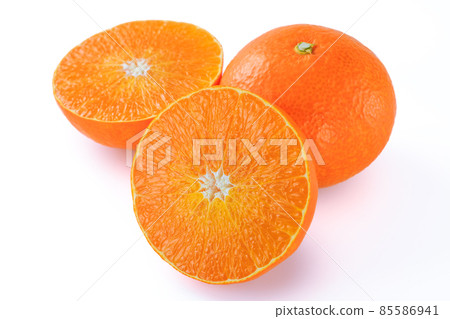 成熟的深紅色 成熟的深紅色 85586941