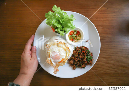 stir-fried pork, stir-fried pork with holy basil and chili stir-fried pork, stir-fried pork with holy basil and chili 85587021