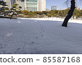 東京都中央區濱離宮恩賜庭園 東京都中央區濱離宮恩賜庭園 85587168