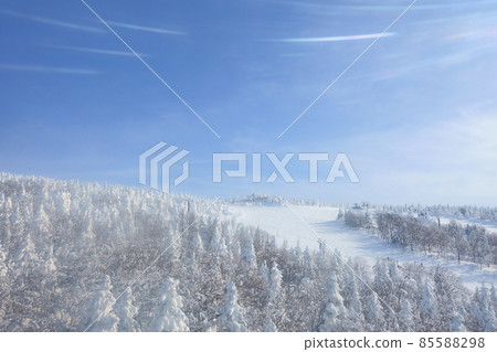 烏托邦坡，霧凇，霧凇，棗 85588298