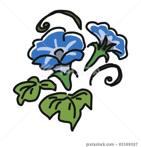Illustration of blue morning glory that blooms... - Stock Illustration ...