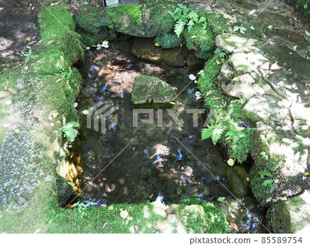 神戶摩耶山天上寺Yunoi（仲夏） 85589754