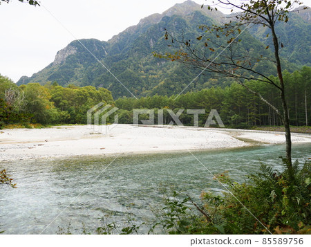 長野上高地梓川和穗高山脈（初秋） 85589756