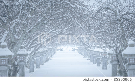 Shiga Prefecture Ikagu Shrine Snowscape Shiga Prefecture Ikagu Shrine Snowscape 85590966