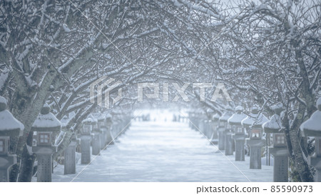 Shiga Prefecture Ikagu Shrine Snowscape Shiga Prefecture Ikagu Shrine Snowscape 85590973