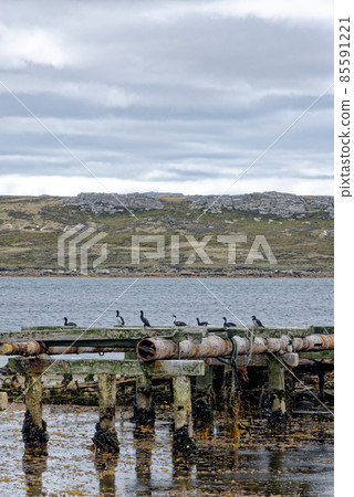 Port Stanley - Old harbour - Falkland Islands Port Stanley - Old harbour - Falkland Islands 85591221