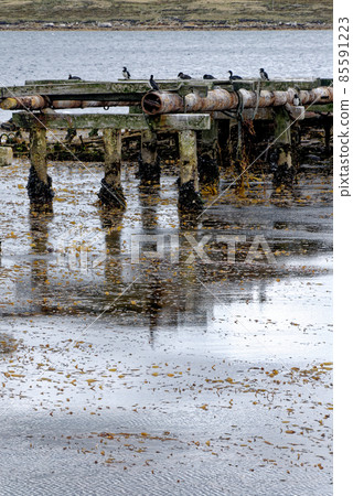 Port Stanley - Old harbour - Falkland Islands 85591223