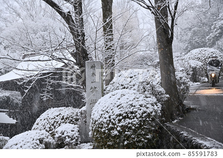 大都市區飄落的雪景 85591783