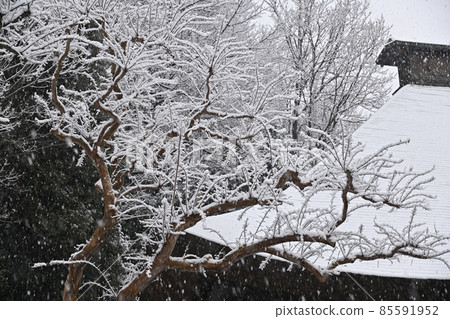 大都市區飄落的雪景 85591952