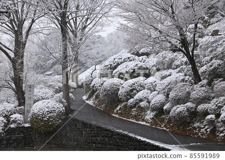 大都市區飄落的雪景 85591989