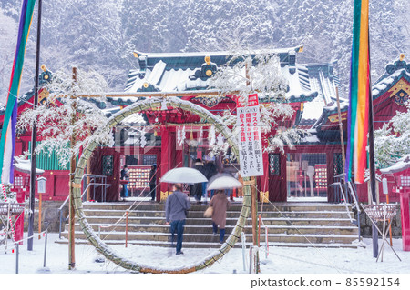 （神奈川縣）箱根神社 雪中初訪 85592154