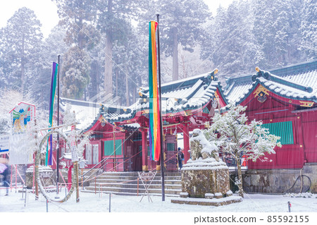 （神奈川縣）箱根神社 雪中初訪 85592155