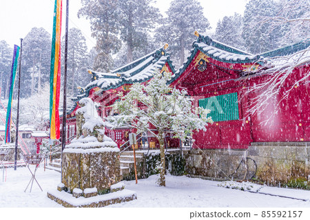 （神奈川縣）箱根神社 雪中初訪 85592157
