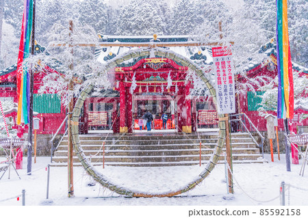 （神奈川縣）箱根神社 雪中初訪 85592158