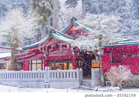 (Kanagawa Prefecture) Hakone Shrine First visit in the snow (Kanagawa Prefecture) Hakone Shrine First visit in the snow 85592159
